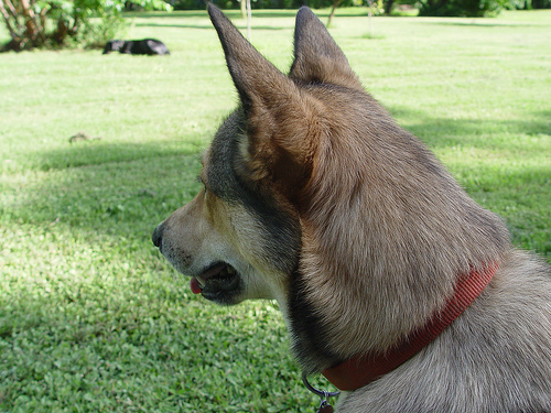 1070359047_f015794ecd_2