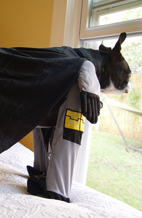 Harkwhogoesthere Harkwhogoesthere