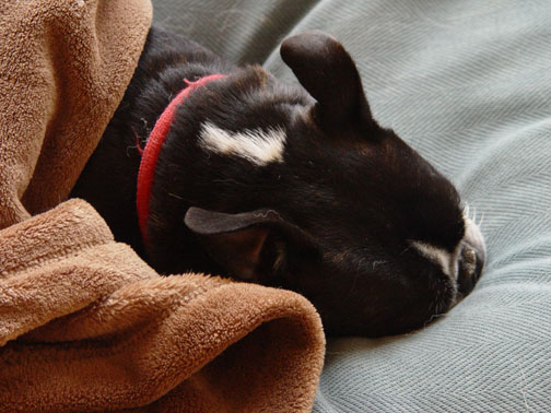 Dsc08445_2 Dsc08445_2