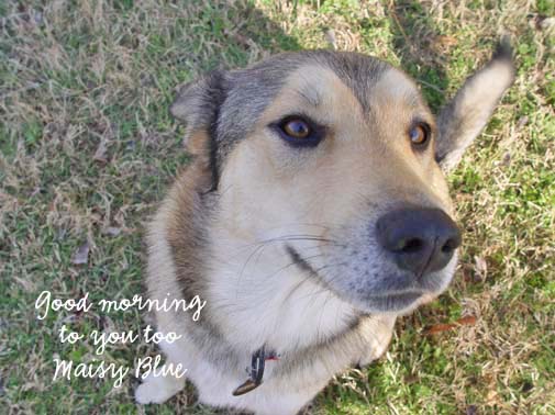 Dsc08580_copy Dsc08580_copy