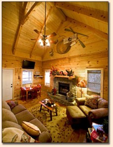 Livingroom-P2215701-2 Livingroom-P2215701-2