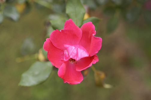 3024544527_e11c24d170