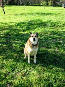 25600_1352481423203_1566440932_2295061_7553865_n copy