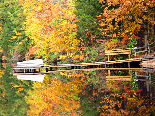 35526593.DSC04399w copy