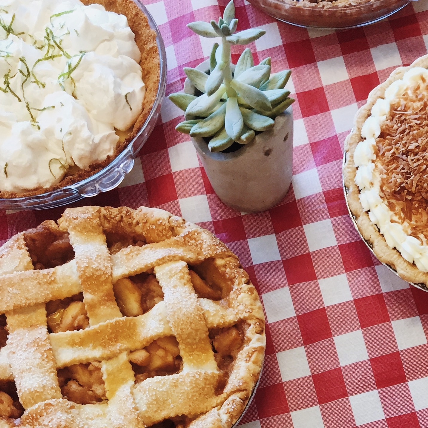 Processed with VSCO with m5 preset