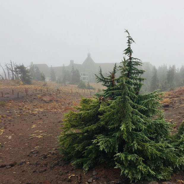 View form behind of the Timberline Lodge on a drizzly afternoon. Photo by Stacey Van Landingham
